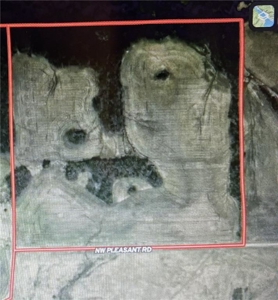 40± Acres | Income-Producing Farm with Hunting & Build Potential - image 19