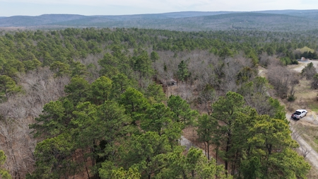 Cabin and 20 acres off grid cabin in Red Oak, OK - image 34