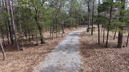 Cabin and 20 acres off grid cabin in Red Oak, OK - image 36