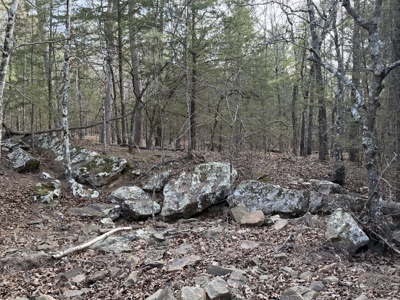 Cabin and 20 acres off grid cabin in Red Oak, OK - image 22