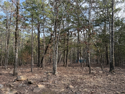 Cabin and 20 acres off grid cabin in Red Oak, OK - image 15