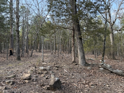 Cabin and 20 acres off grid cabin in Red Oak, OK - image 26