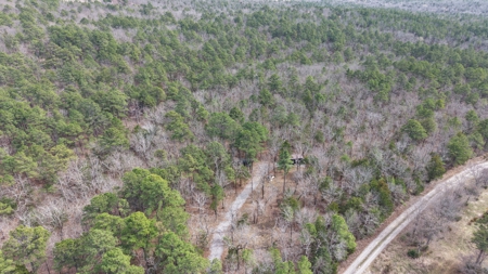 Cabin and 20 acres off grid cabin in Red Oak, OK - image 41