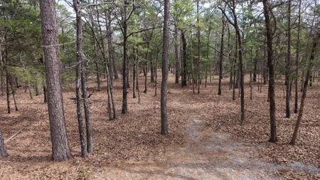 Cabin and 20 acres off grid cabin in Red Oak, OK - image 38