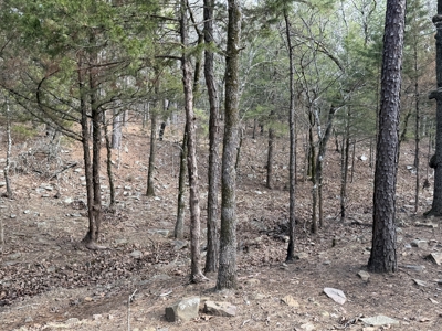 Cabin and 20 acres off grid cabin in Red Oak, OK - image 20