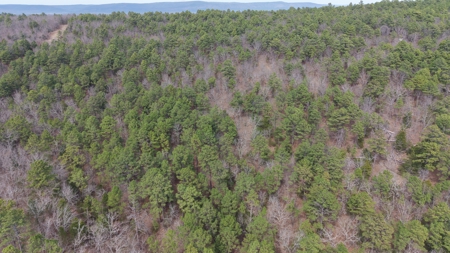 Cabin and 20 acres off grid cabin in Red Oak, OK - image 43