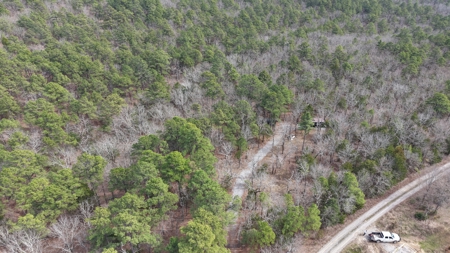 Cabin and 20 acres off grid cabin in Red Oak, OK - image 40