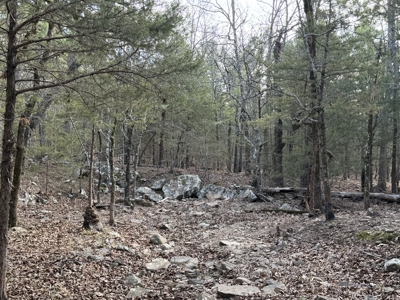 Cabin and 20 acres off grid cabin in Red Oak, OK - image 21