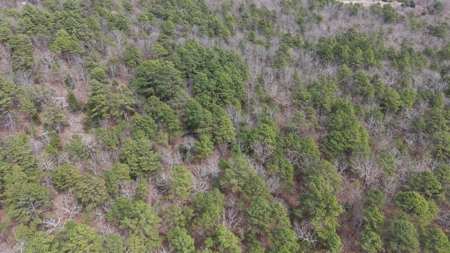 Cabin and 20 acres off grid cabin in Red Oak, OK - image 42