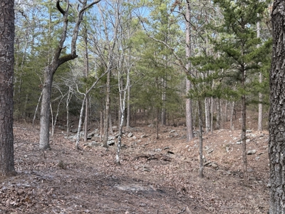 Cabin and 20 acres off grid cabin in Red Oak, OK - image 25