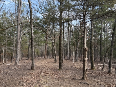 Cabin and 20 acres off grid cabin in Red Oak, OK - image 13