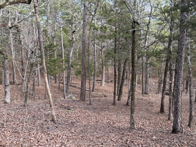 Cabin and 20 acres off grid cabin in Red Oak, OK - image 16