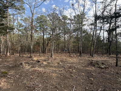 Cabin and 20 acres off grid cabin in Red Oak, OK - image 14