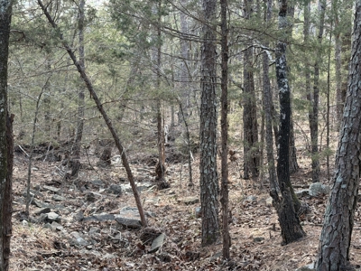 Cabin and 20 acres off grid cabin in Red Oak, OK - image 23