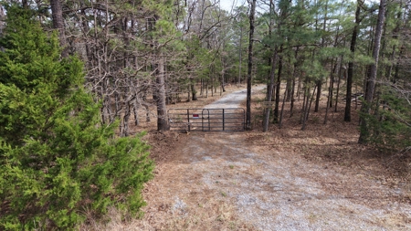Cabin and 20 acres off grid cabin in Red Oak, OK - image 35