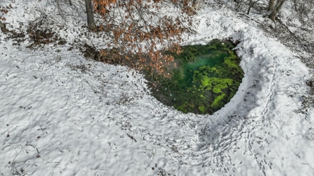 36.8± Acre Executive Estate in the Rolling Countryside of Jackson - image 17