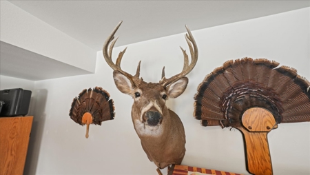 36.8± Acre Executive Estate in the Rolling Countryside of Jackson - image 13