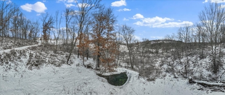 36.8± Acre Executive Estate in the Rolling Countryside of Jackson - image 18