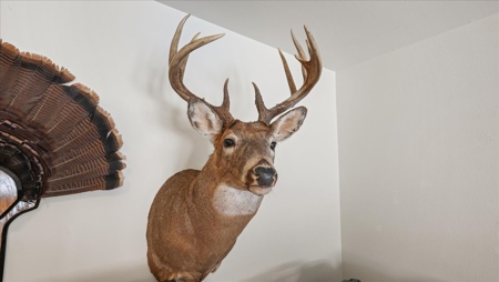 36.8± Acre Executive Estate in the Rolling Countryside of Jackson - image 12