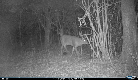 36.8± Acre Executive Estate in the Rolling Countryside of Jackson - image 32