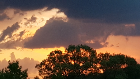 36.8± Acre Executive Estate in the Rolling Countryside of Jackson - image 29