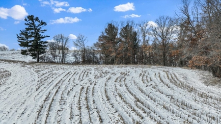 36.8± Acre Executive Estate in the Rolling Countryside of Jackson - image 21