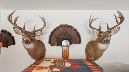 36.8± Acre Executive Estate in the Rolling Countryside of Jackson - image 11