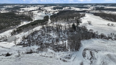 36.8± Acre Executive Estate in the Rolling Countryside of Jackson - image 15