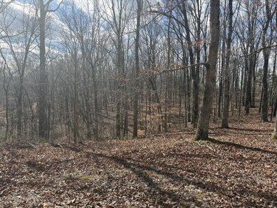 Land for Sale in Humphreys County, Tennessee - image 3