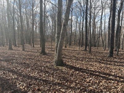 Land for Sale in Humphreys County, Tennessee - image 7