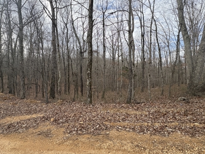 Land for Sale in Humphreys County, Tennessee - image 9
