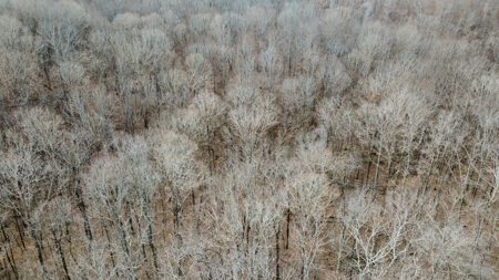 Land for Sale in Humphreys County, Tennessee - image 21