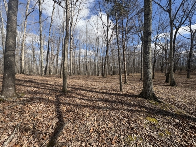 Land for Sale in Humphreys County, Tennessee - image 1