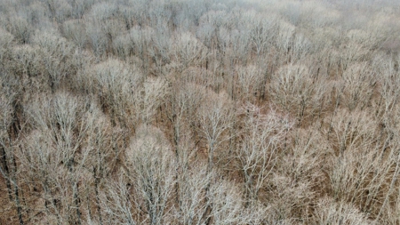 Land for Sale in Humphreys County, Tennessee - image 16