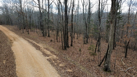 Land for Sale in Humphreys County, Tennessee - image 23
