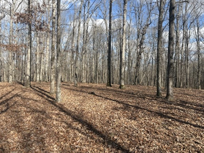 Land for Sale in Humphreys County, Tennessee - image 5