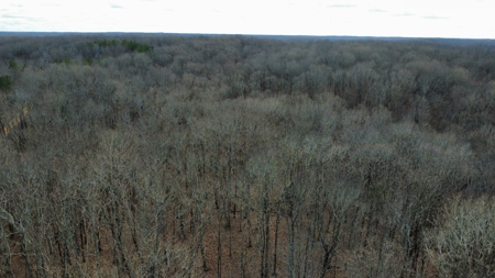 Land for Sale in Humphreys County, Tennessee - image 20