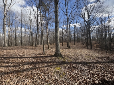 Land for Sale in Humphreys County, Tennessee - image 2