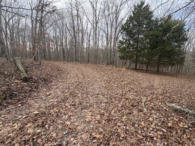 Land for Sale in Humphreys County, Tennessee - image 10