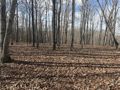 Land for Sale in Humphreys County, Tennessee - image 6
