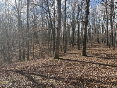 Land for Sale in Humphreys County, Tennessee - image 4