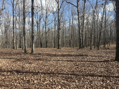 Land for Sale in Humphreys County, Tennessee - image 8