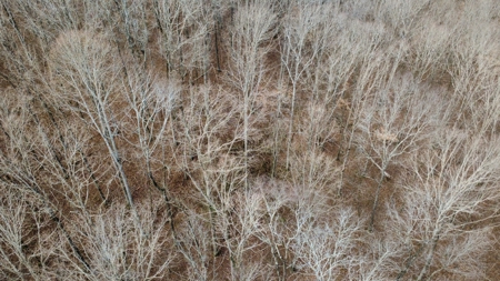 Land for Sale in Humphreys County, Tennessee - image 17