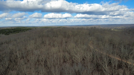 Land for Sale in Humphreys County, Tennessee - image 18