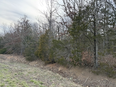 Unrestricted Land in Searcy County Arkansas with Highway Frontage - image 27