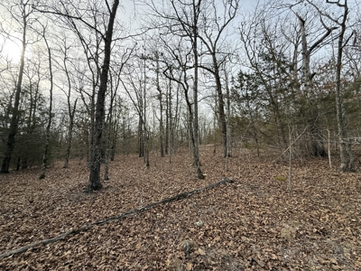 Unrestricted Land in Searcy County Arkansas with Highway Frontage - image 16
