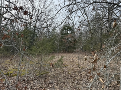 Unrestricted Land in Searcy County Arkansas with Highway Frontage - image 4