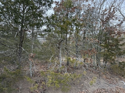 Unrestricted Land in Searcy County Arkansas with Highway Frontage - image 2