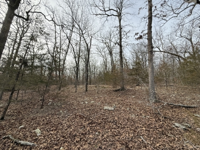 Unrestricted Land in Searcy County Arkansas with Highway Frontage - image 20
