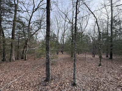 Unrestricted Land in Searcy County Arkansas with Highway Frontage - image 17